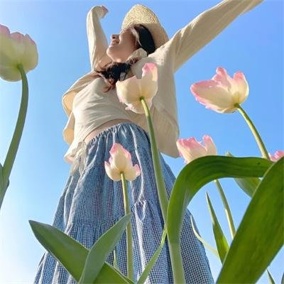 警察锅哥第二季